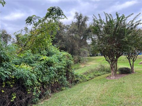 2980 N Chandler Dr, Hernando, FL 34442 photo 5