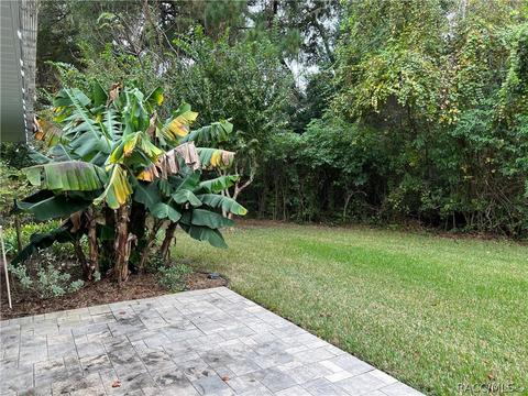 2980 N Chandler Dr, Hernando, FL 34442 photo 25