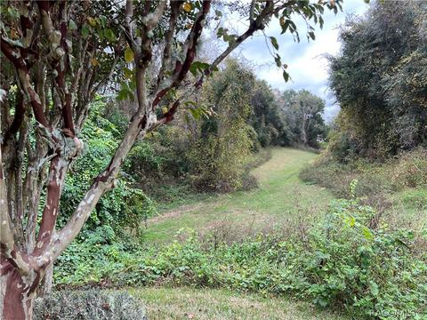 2980 N Chandler Dr, Hernando, FL 34442 photo 26