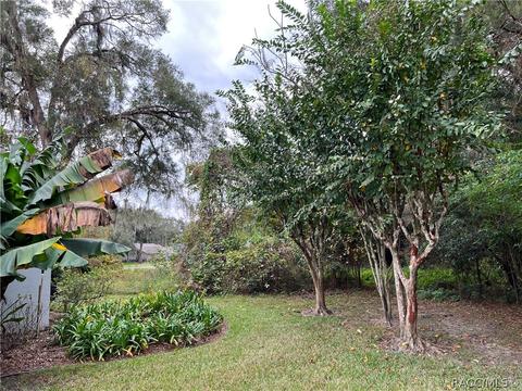 2980 N Chandler Dr, Hernando, FL 34442 photo 6