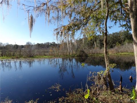 10424 E Gobbler Dr, Floral City, FL 34436