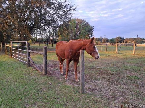 4650 E Amherst St, Hernando, FL 34442 photo 48
