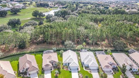 864 W Silver Meadow Loop, Hernando, FL 34442 photo 39
