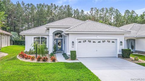 864 W Silver Meadow Loop, Hernando, FL 34442 photo 33