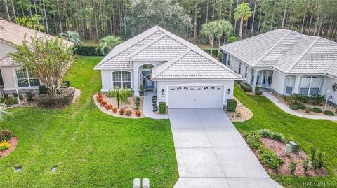 864 W Silver Meadow Loop, Hernando, FL 34442 photo 38