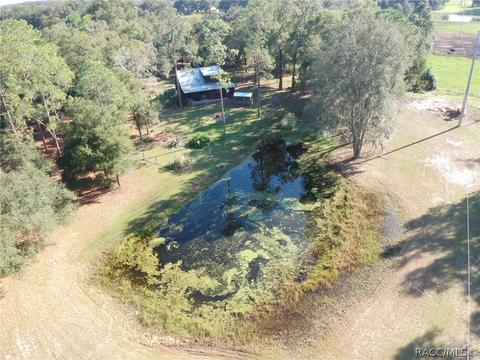 1981 E C 478, Webster, FL 33597 photo 57