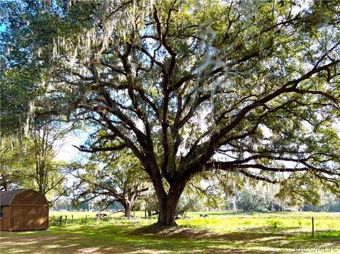 1981 E C 478, Webster, FL 33597 photo 42