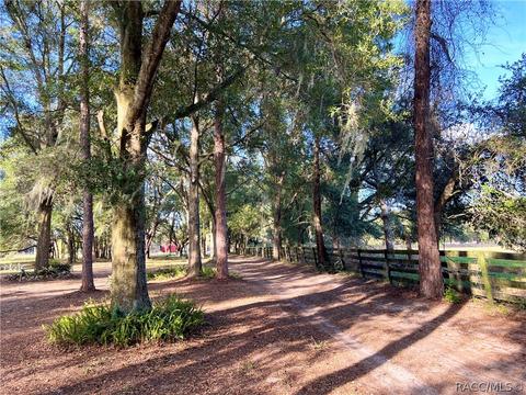 1981 E C 478, Webster, FL 33597 photo 49