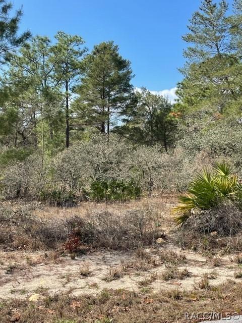 18 Heuchera Ct E, Homosassa, FL 34446