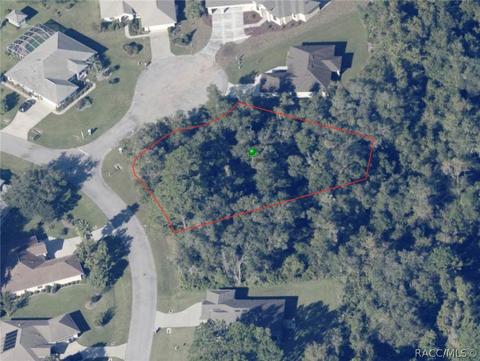 2499 E Beckett Ct, Hernando, FL 34442 photo 6