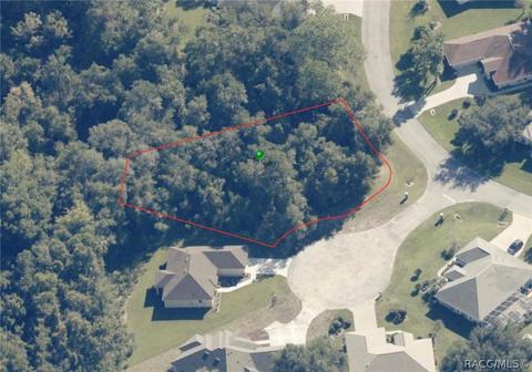 2499 E Beckett Ct, Hernando, FL 34442 photo 7