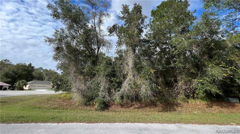 2499 E Beckett Ct, Hernando, FL 34442 photo 3