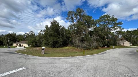 2499 E Beckett Ct, Hernando, FL 34442 photo 1
