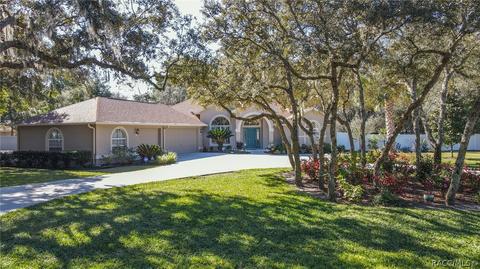 4090 N Ringwood Cir, Hernando, FL 34442 photo 56