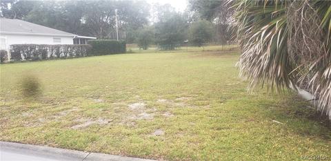 3516 E Cove Park Trl, Hernando, FL 34442 photo 3