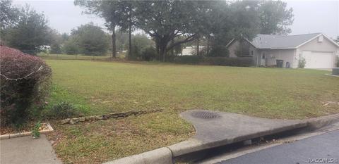 3516 E Cove Park Trl, Hernando, FL 34442 photo 2
