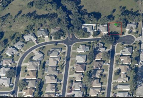 3516 E Cove Park Trl, Hernando, FL 34442 photo 5