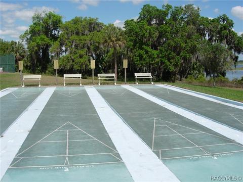 3516 E Cove Park Trl, Hernando, FL 34442 photo 11