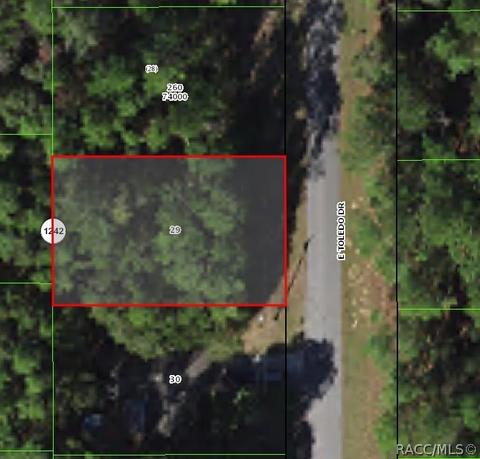 1288 E Toledo Dr, Citrus Springs, FL 34434