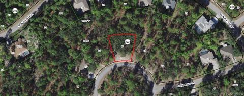 12 Asparagus Ct, Homosassa, FL 34446
