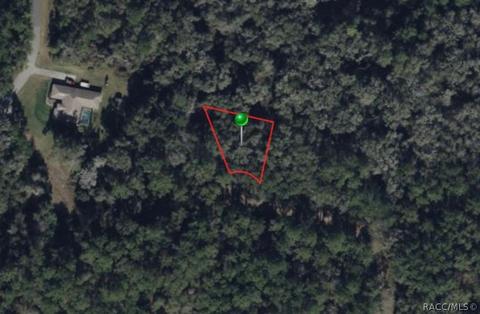 9573 N Sagamore Pt, Citrus Springs, FL 34434