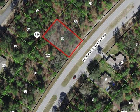 9194 N Citrus Springs Blvd, Citrus Springs, FL 34433
