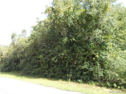 4396 N Aztec Pt, Hernando, FL 34442 photo 6