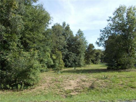 4396 N Aztec Pt, Hernando, FL 34442 photo 7