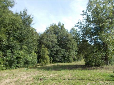 4396 N Aztec Pt, Hernando, FL 34442 photo 8