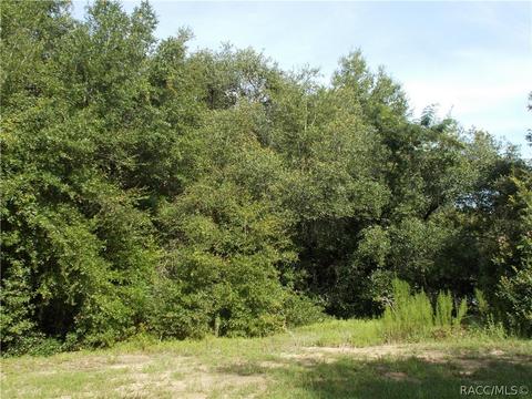 4396 N Aztec Pt, Hernando, FL 34442 photo 1
