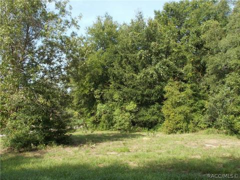 4396 N Aztec Pt, Hernando, FL 34442 photo 3