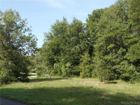 4396 N Aztec Pt, Hernando, FL 34442 photo 2