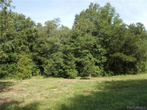 4396 N Aztec Pt, Hernando, FL 34442 photo 5