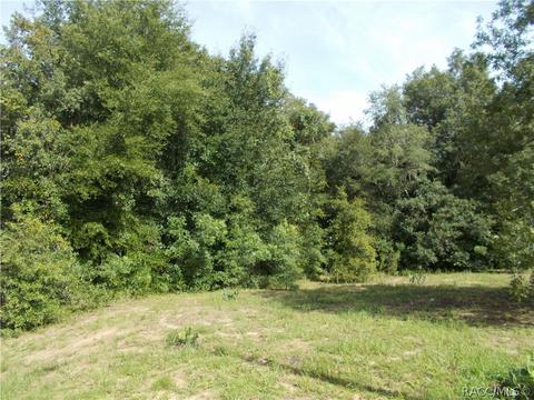4396 N Aztec Pt, Hernando, FL 34442 photo 9