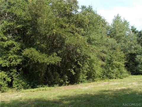 4396 N Aztec Pt, Hernando, FL 34442 photo 4