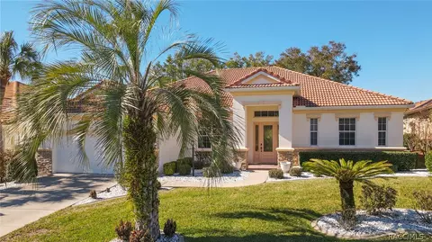 299 W Mickey Mantle Path, Hernando, FL 34442 photo 1