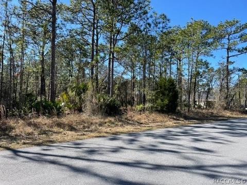 10380 Yellow Hammer Ave, Brooksville, FL 34614