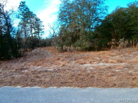 00 SW Hilliard Ave, Dunnellon, FL 34431