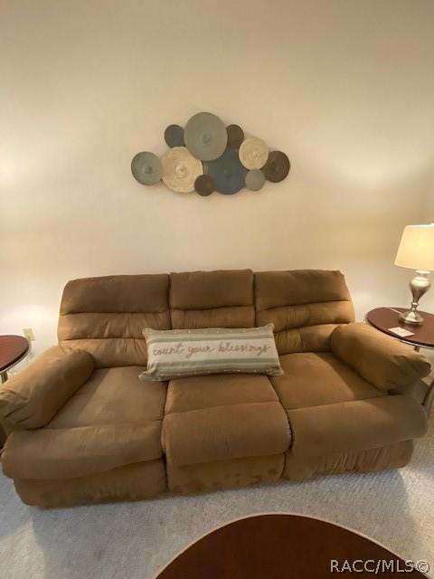 370 E Glassboro Ct #6A, Hernando, FL 34442 photo 25