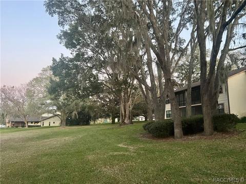 370 E Glassboro Ct #6A, Hernando, FL 34442 photo 45