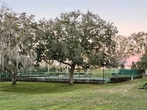 370 E Glassboro Ct #6A, Hernando, FL 34442 photo 47