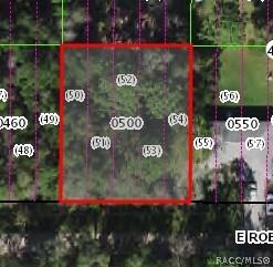 3051 E Robert St, Inverness, FL 34453 photo 1