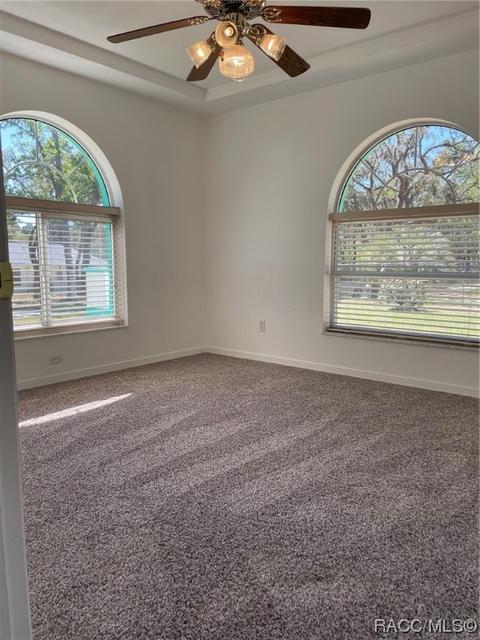 355 E Buckingham Dr, Lecanto, FL 34461 photo 27