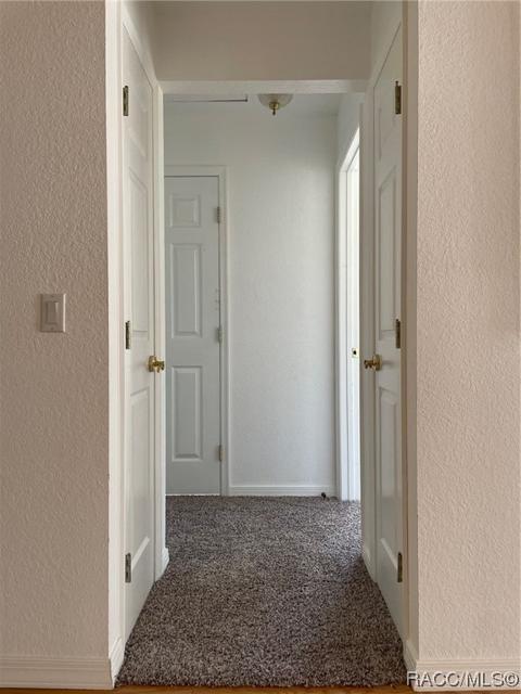 355 E Buckingham Dr, Lecanto, FL 34461 photo 22