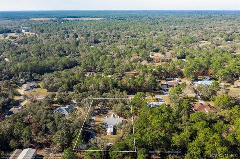 355 E Buckingham Dr, Lecanto, FL 34461 photo 51