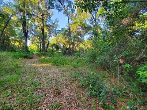 2214 E Keepsake Ln, Hernando, FL 34442 photo 20
