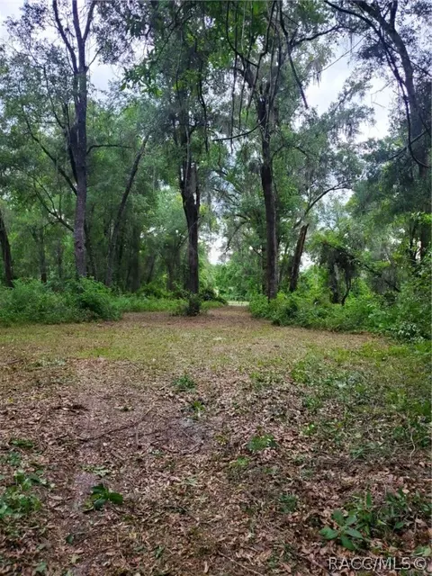 2214 E Keepsake Ln, Hernando, FL 34442 photo 23