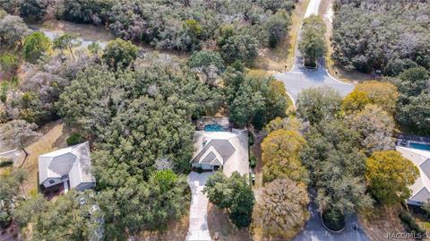 3786 W Augusta Path, Lecanto, FL 34461 photo 45