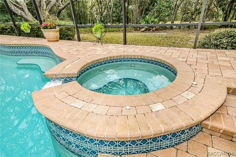 3786 W Augusta Path, Lecanto, FL 34461 photo 35