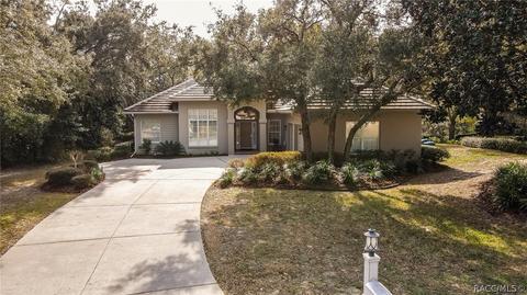 3786 W Augusta Path, Lecanto, FL 34461 photo 38